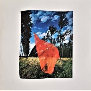 PINK FLOYD - WISH YOU WERE HERE