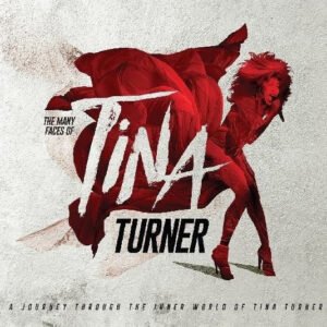 VARIOUS - THE MANY FACES OF TINA TURNER