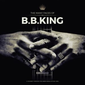 VARIOUS - THE MANY FACES OF B.B.KING