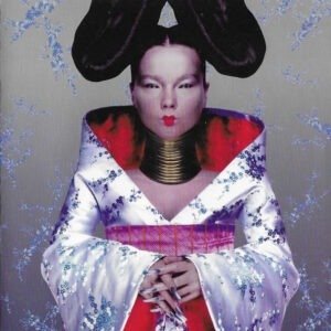 BJORK - HOMOGENIC